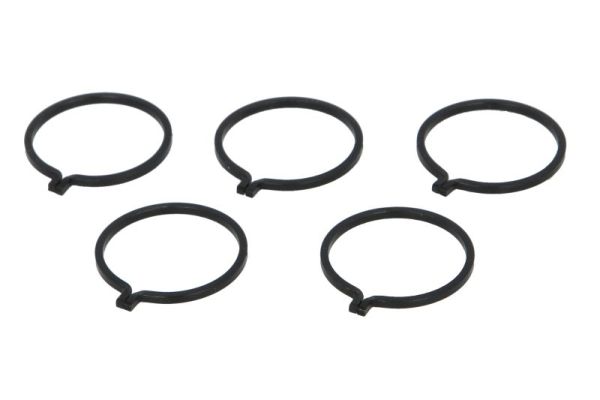Bearing Ring, propshaft centre bearing (CIR G1X03PC)