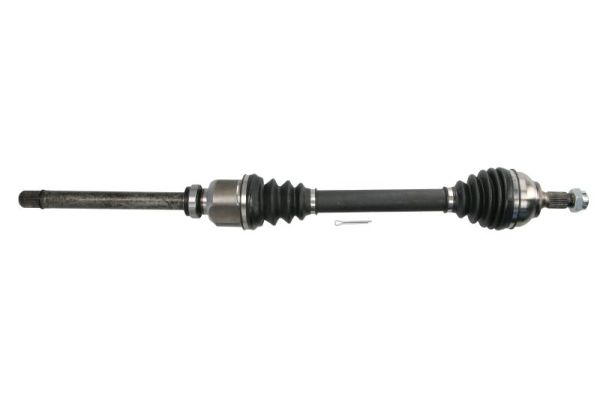 Drive Shaft (G2C166PC)