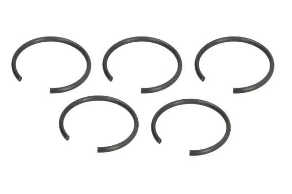 Bearing Ring, propshaft centre bearing (CIR G1W05PC)