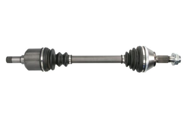 Drive Shaft (G2C019PC)