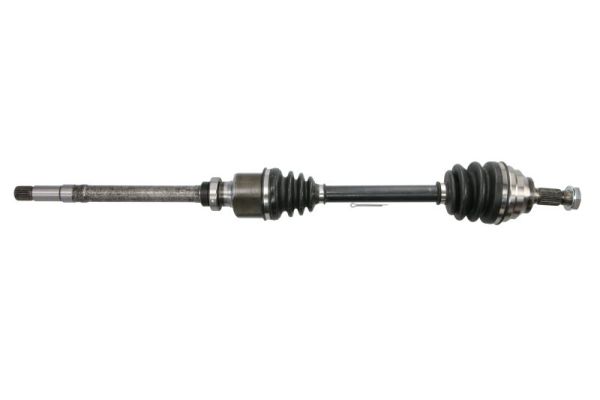 Drive Shaft (G2C042PC)