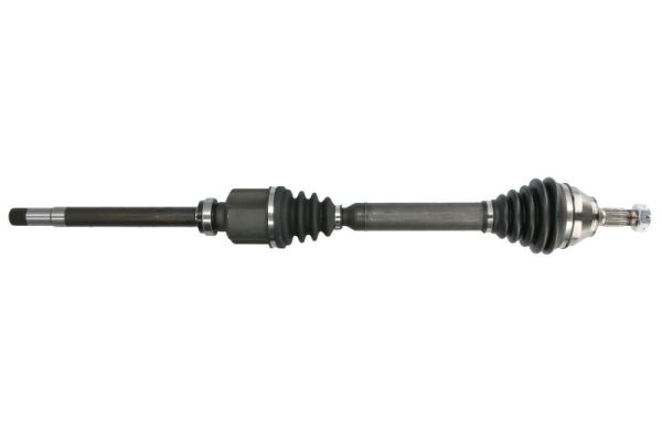 Drive Shaft (G2C179PC)