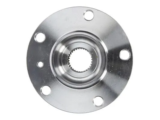 Wheel Hub (H5B007BTA)