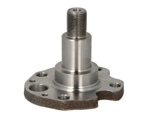 Wheel Hub (H5W029BTA)