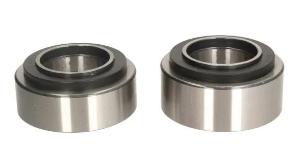 Wheel Bearing (B01-9955401)