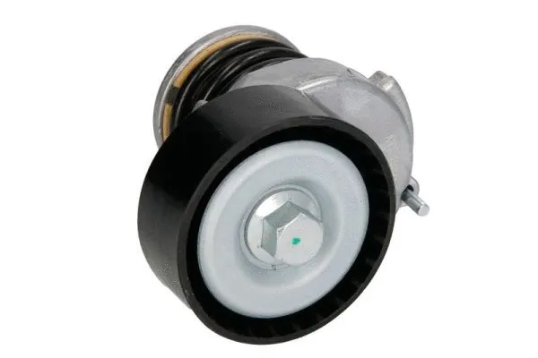 Tensioner Lever, V-ribbed belt (E3W0005BTA)