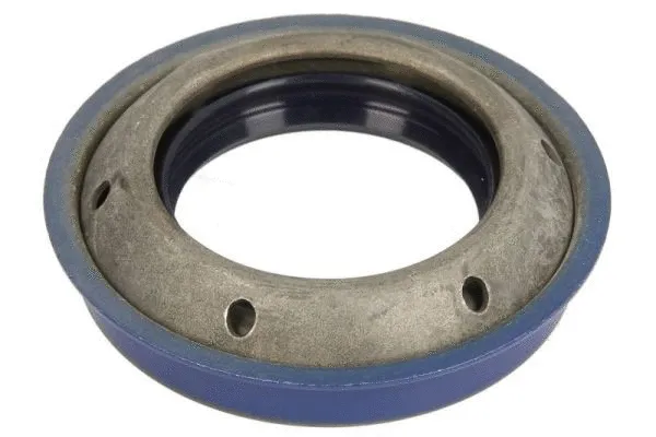 Shaft Seal, differential