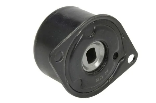 Tensioner Lever, V-ribbed belt