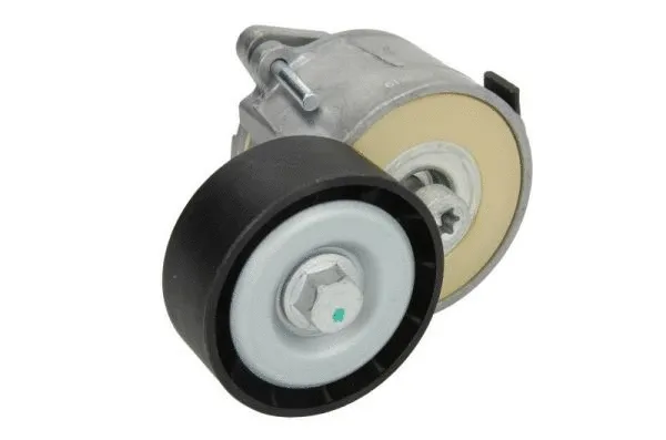 Tensioner Lever, V-ribbed belt (E3F0001BTA)