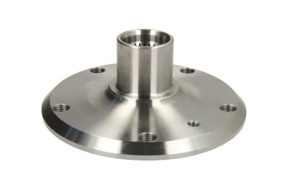 Wheel Hub (H5B011BTA)