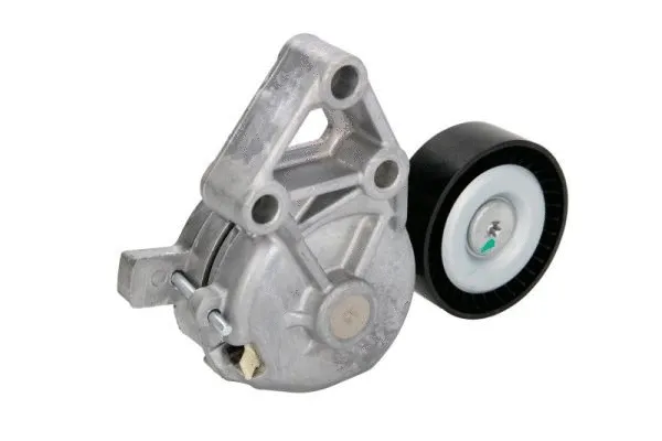 Tensioner Lever, V-ribbed belt (E3W0024BTA)
