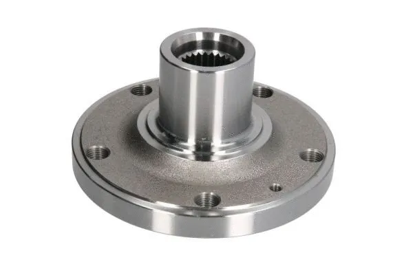 Wheel Hub (H5C009BTA)