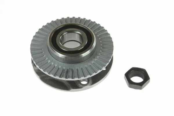Wheel Bearing Kit (H2D002BTA)