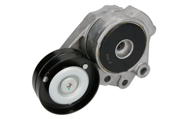 Tensioner Lever, V-ribbed belt (E3W0009BTA)