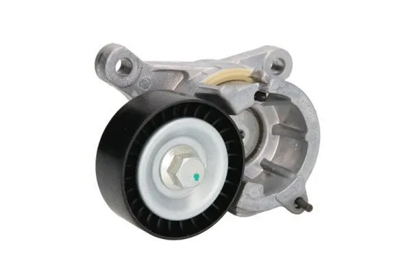 Tensioner Lever, V-ribbed belt (E3C0016BTA)