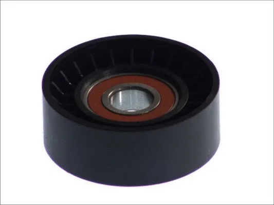 Tensioner Lever, V-ribbed belt (E2G5268BTA)