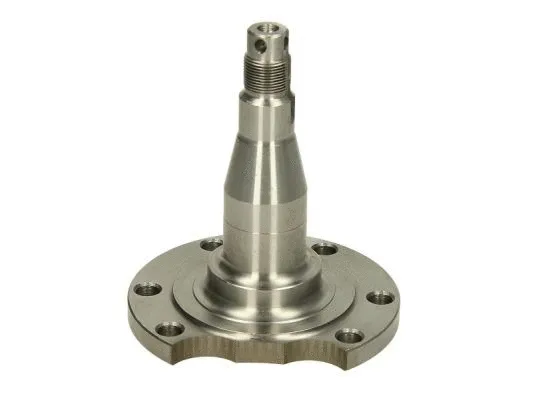 Steering Knuckle, wheel suspension (H5A003BTA)