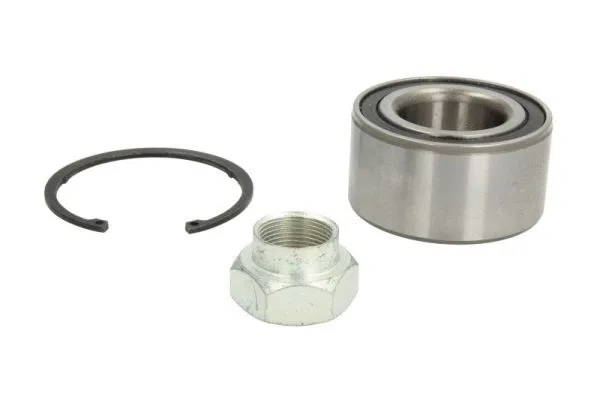 Wheel Bearing Kit (H1F006BTA)