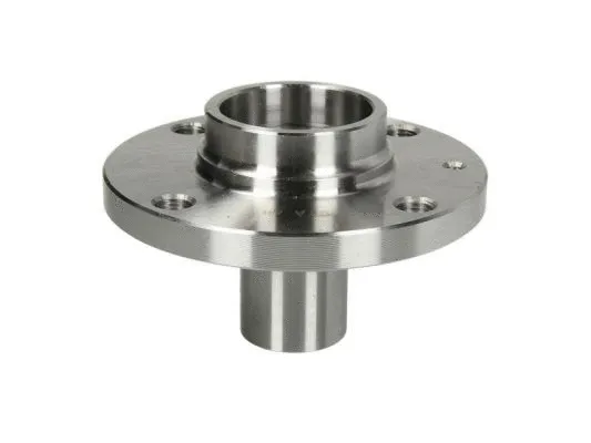Wheel Hub (H5S001BTA)