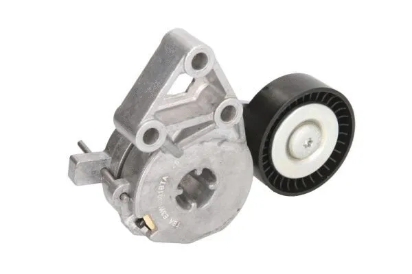 Tensioner Lever, V-ribbed belt (E3W0001BTA)