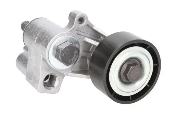 Tensioner Lever, V-ribbed belt (E3C0001BTA)