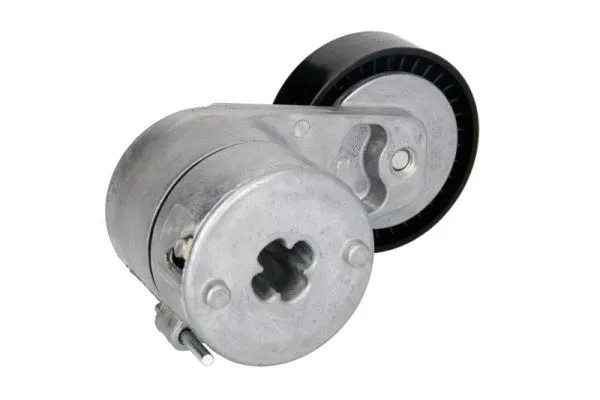 Tensioner Lever, V-ribbed belt