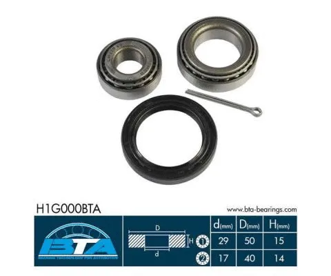 Wheel Bearing Kit (H1G000BTA)