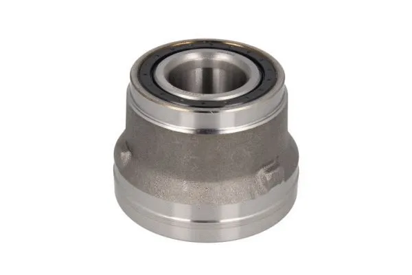 Wheel Bearing Kit (H1E002BTA)