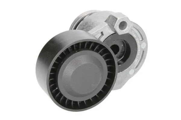 Tensioner Pulley, V-ribbed belt (E3R0004BTA)