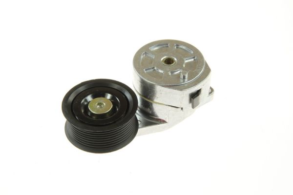 Belt Tensioner, V-ribbed belt (B05-01-010)