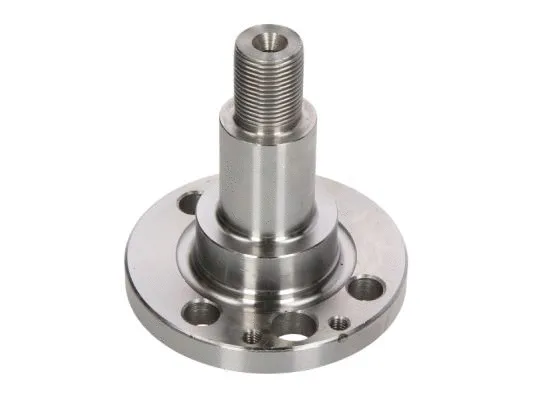 Steering Knuckle, wheel suspension (H5S003BTA)
