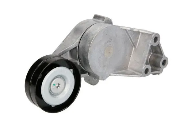 Tensioner Lever, V-ribbed belt (E3W0019BTA)