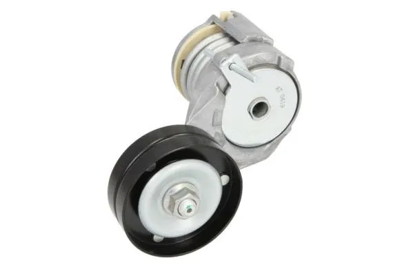 Tensioner Lever, V-ribbed belt (E3W0022BTA)