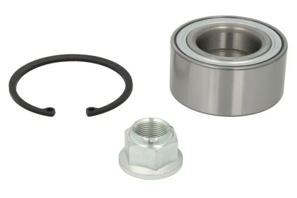 Wheel Bearing Kit (H1M016BTA)