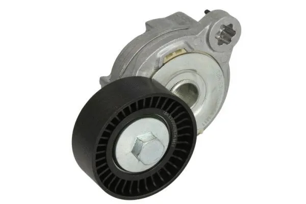 Belt Tensioner, V-ribbed belt (E3V0002BTA)