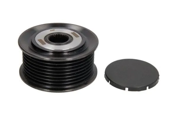 Alternator Freewheel Clutch (E4M019BTA)