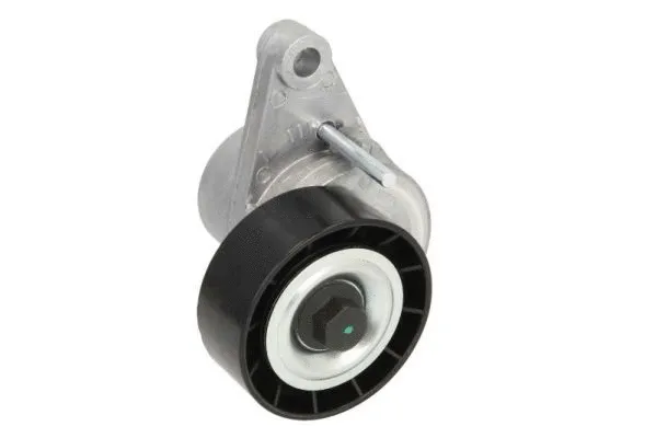 Tensioner Lever, V-ribbed belt (E3C0017BTA)