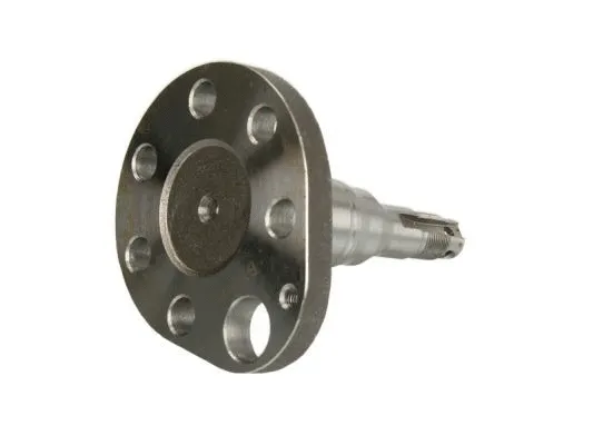 Steering Knuckle, wheel suspension