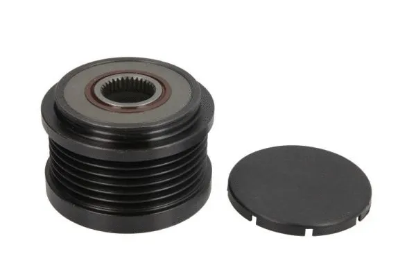 Alternator Freewheel Clutch (E40002BTA)