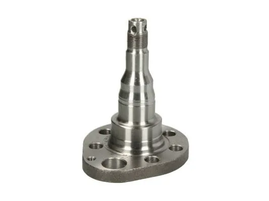 Steering Knuckle, wheel suspension (H5W028BTA)