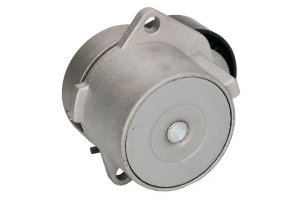 Tensioner Lever, V-ribbed belt