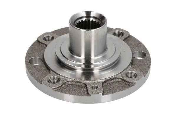 Wheel Hub (H5F009BTA)