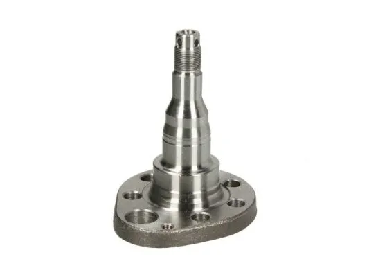 Steering Knuckle, wheel suspension (H5W027BTA)