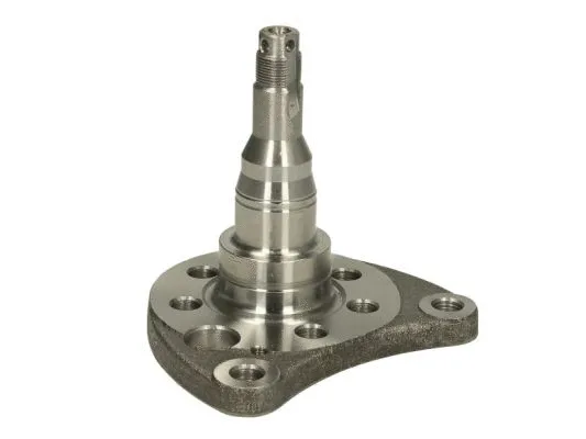 Steering Knuckle, wheel suspension (H5W008BTA)