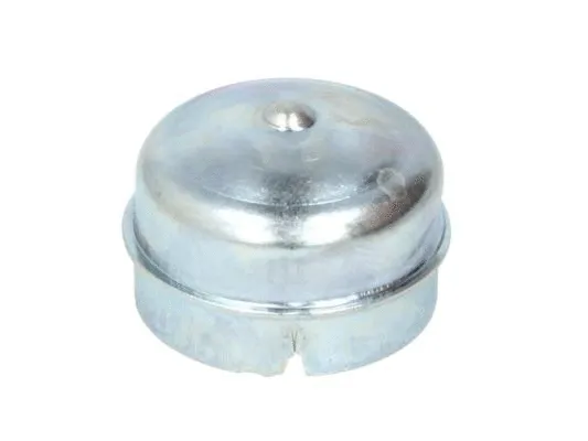 Protection Lid, wheel hub (47100208BTA)