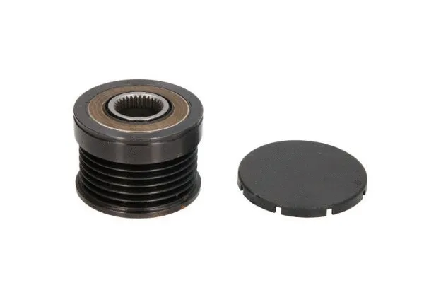 Alternator Freewheel Clutch (E4M018BTA)
