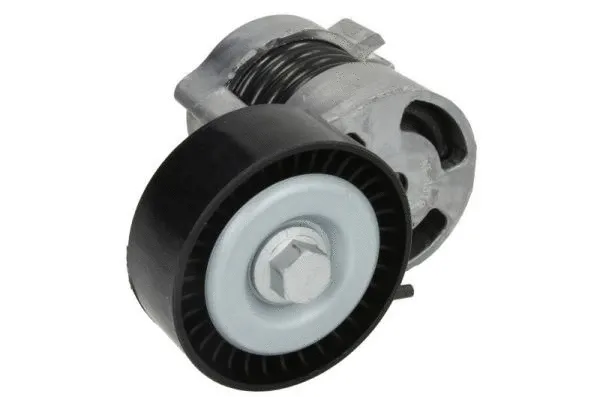 Tensioner Lever, V-ribbed belt (E3B0002BTA)