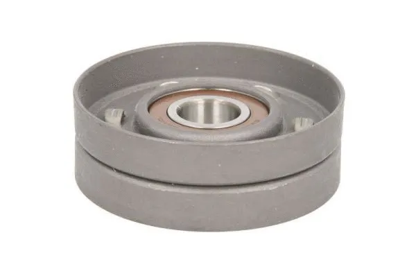 Tensioner Lever, V-ribbed belt (E2V5589BTA)