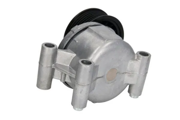 Tensioner Lever, V-ribbed belt