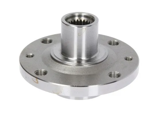 Wheel Hub (H5R004BTA)